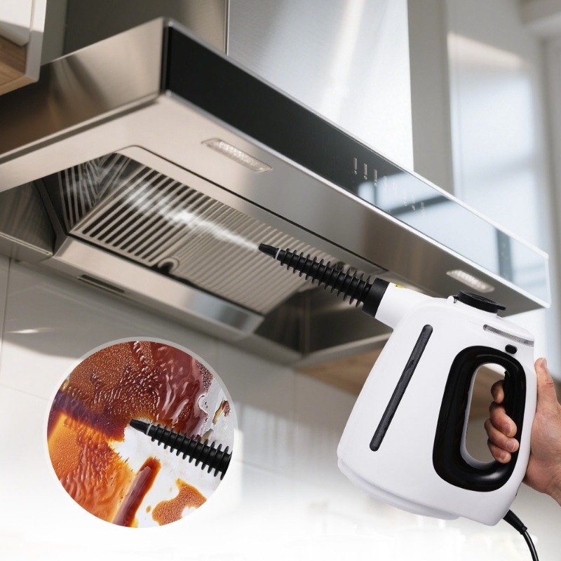 Multifunctional Handheld Steam - Home Bathroom Cleaning recension och pris