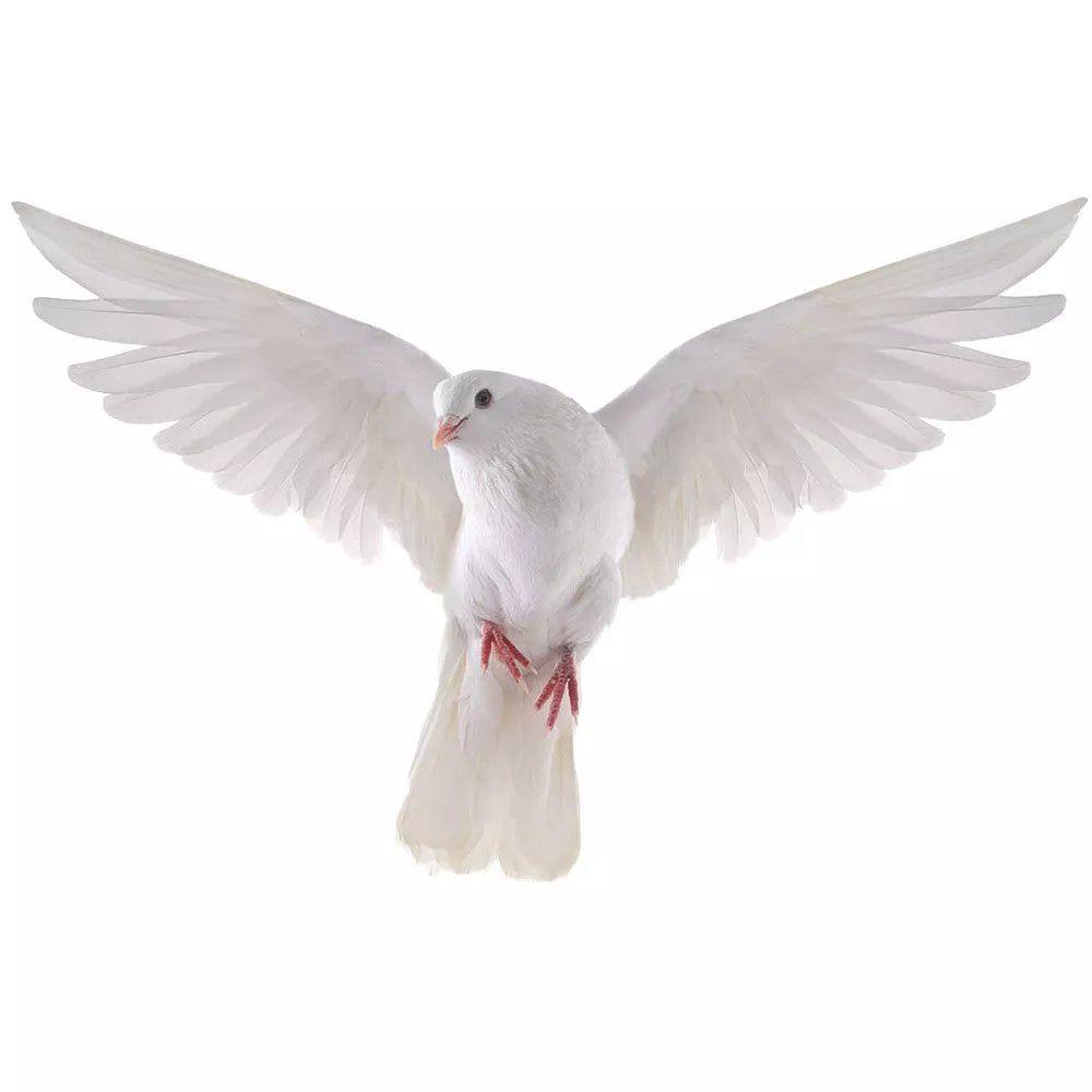 Peace Dove Wall Stickers for L - Tiny Home Bathroom Kit recension och pris