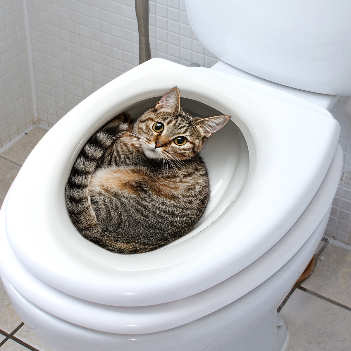 3D Funny Cat Toilet Sticker Ba - Tiny Home Bathroom Kit recension och pris